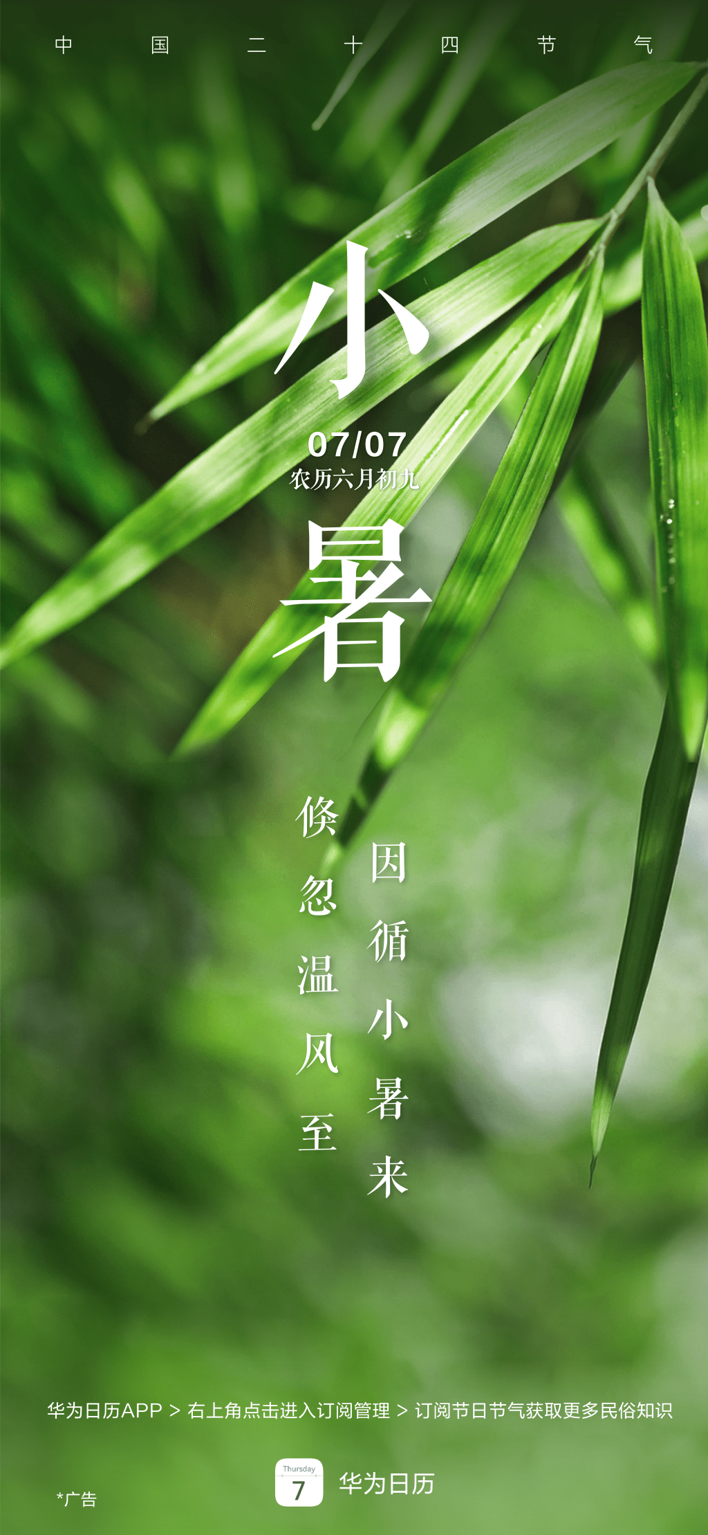 华为日历小暑节气长图